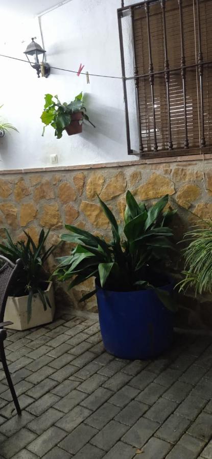 Pegalajar Casa Cueva El Almendroゲストハウス エクステリア 写真