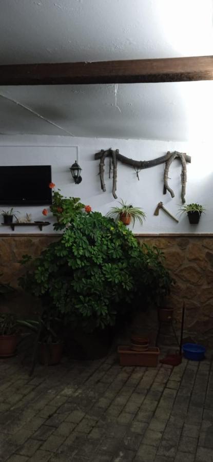Pegalajar Casa Cueva El Almendroゲストハウス エクステリア 写真